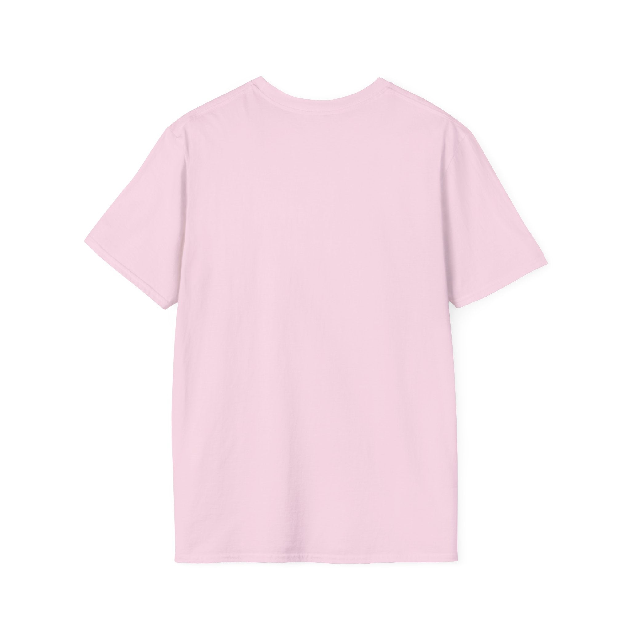 Spooky With Standards T-Shirt